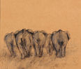 FRITZ KLIER  "Kwazulu Natal: Abziehende Herde I", 2013, Kreide auf Karton, 50 x 50 cm 